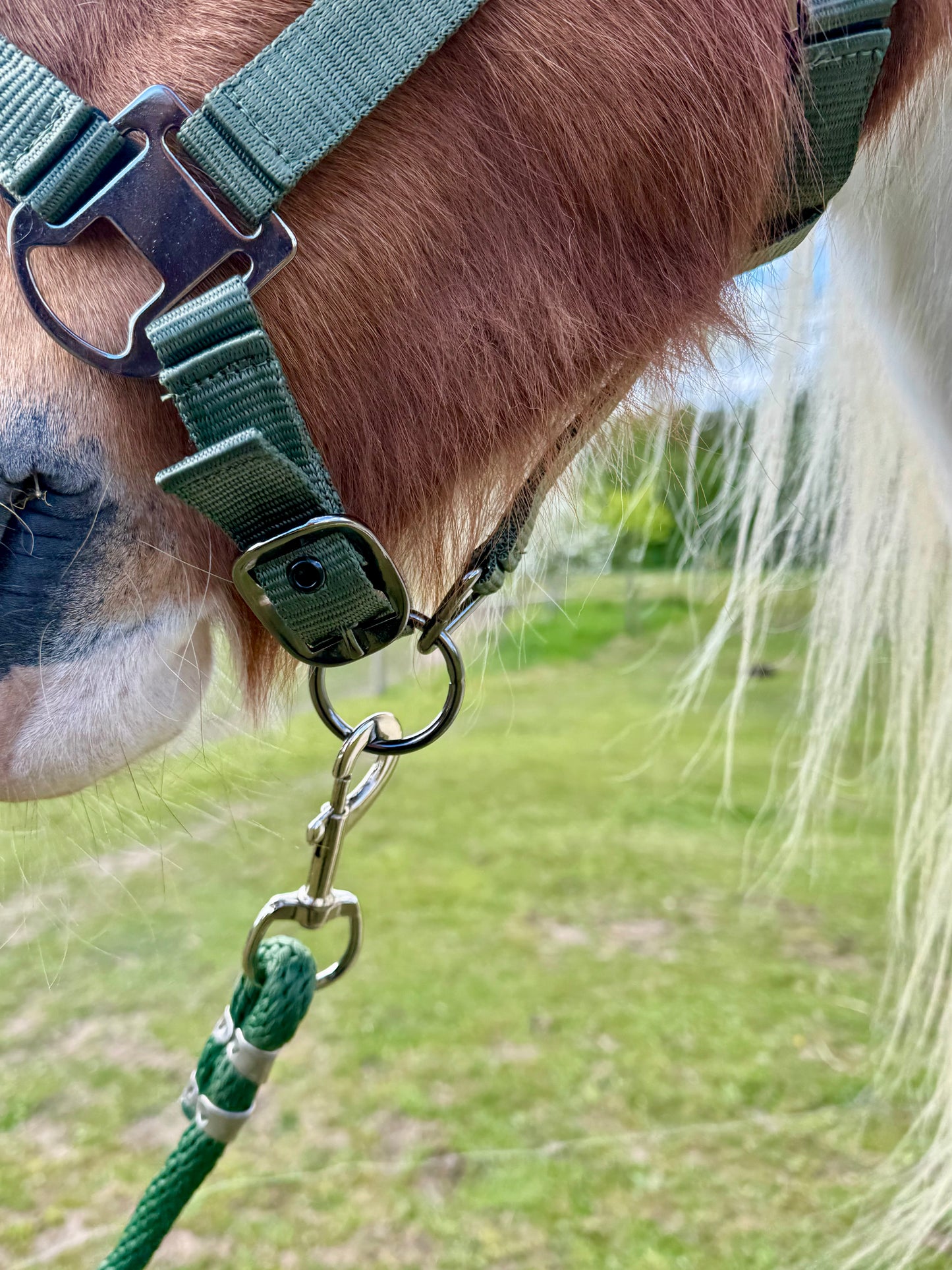 Cavalli Træktov - Moss Green