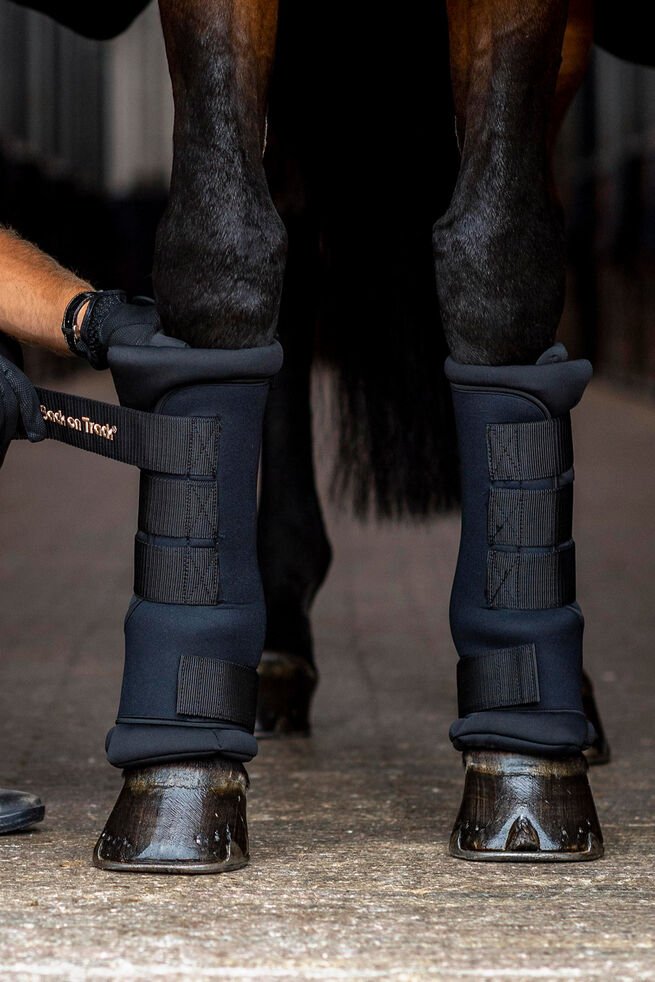 Back on Track - Quick Royal Staldbandage - Blå - animondo.dk - 20310301