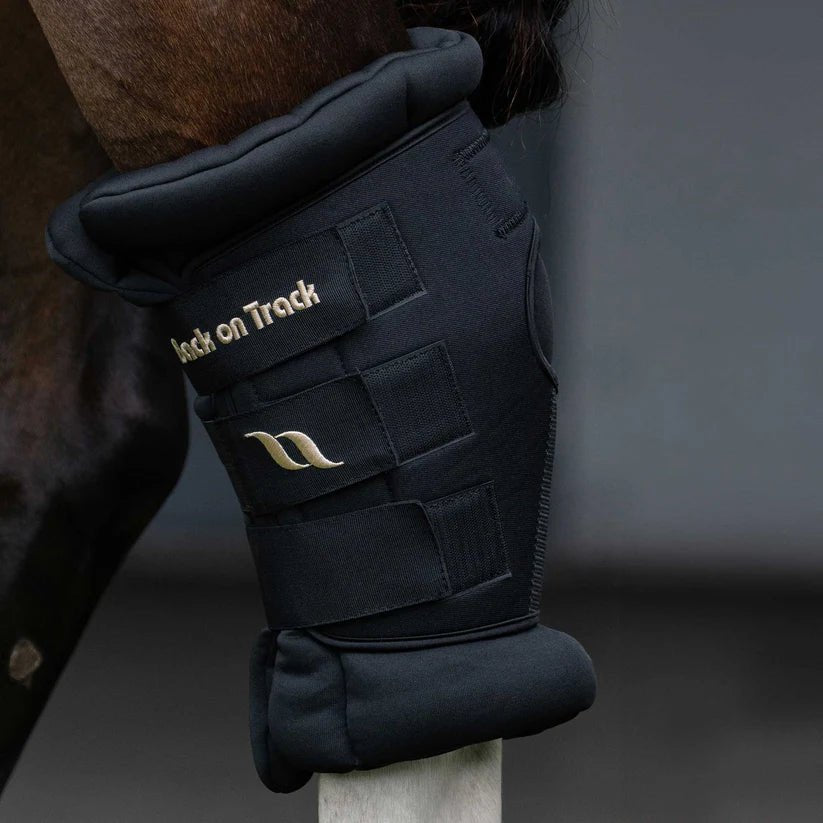 Back on Track - Royal Deluxe Hasebandager - Sort - animondo.dk - 20229001