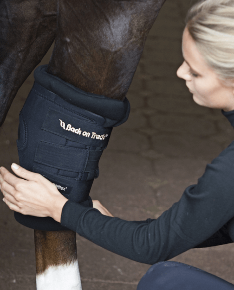 Back on Track - Royal Hasebandager - animondo.dk - 20239001