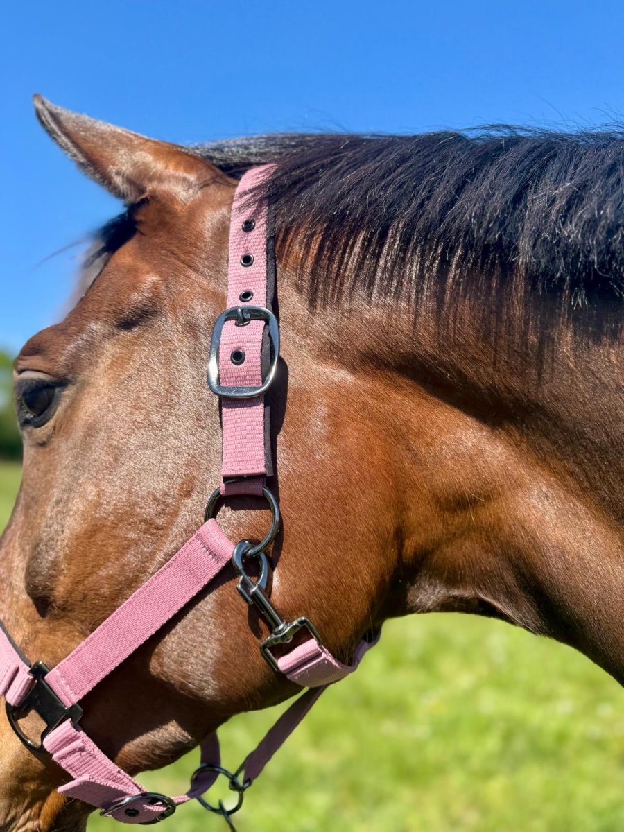 Cavalli Classic Grime m. Neopren - Old Rose - animondo.dk - CAV4400