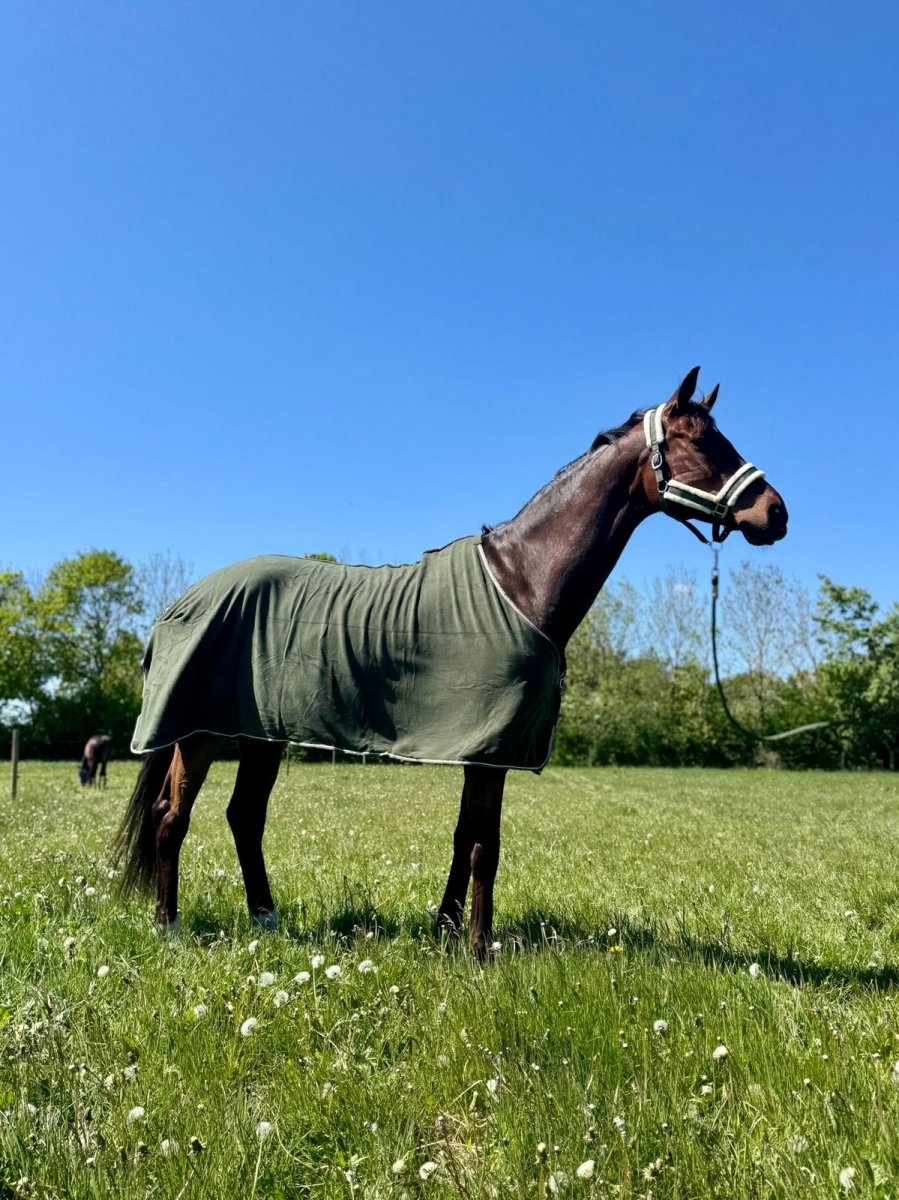 Cavalli - Fleecedækken - Moss Green - animondo.dk - CAV4100