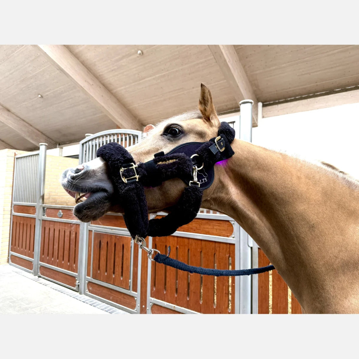 Equine LTS - Versatile 2.0 m. elastikbånd - animondo.dk - LTS - VP - 2.0