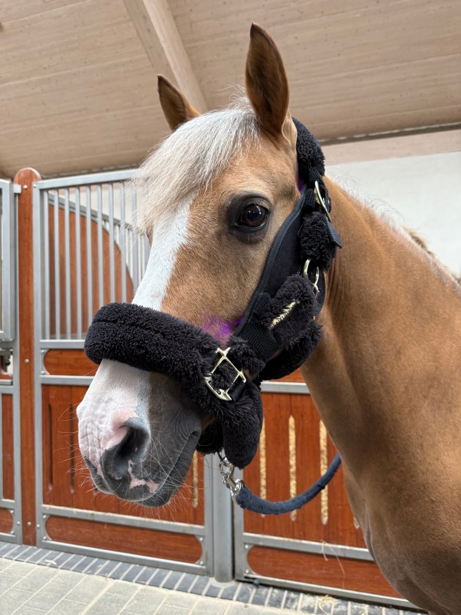 Equine LTS - Versatile 2.0 m. elastikbånd - animondo.dk - LTS - VP - 2.0