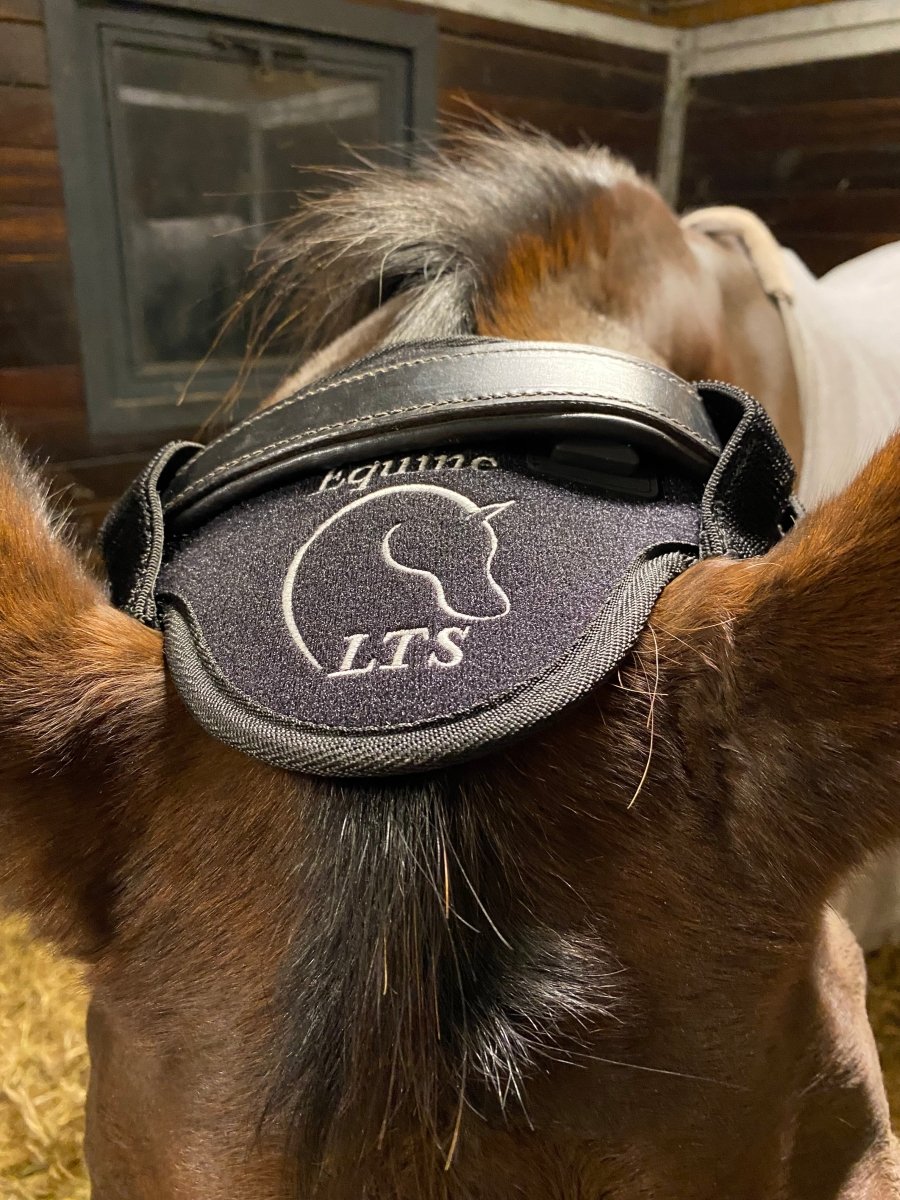 Equine LTS - Versatile 2.0 m. elastikbånd - animondo.dk - LTS - VP - 2.0