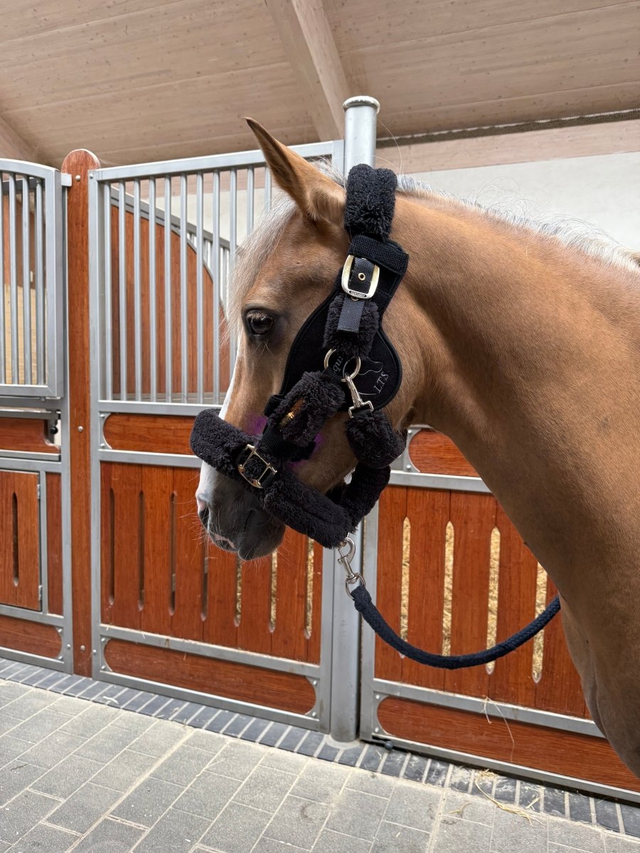 Equine LTS - Versatile 2.0 m. elastikbånd - animondo.dk - LTS - VP - 2.0
