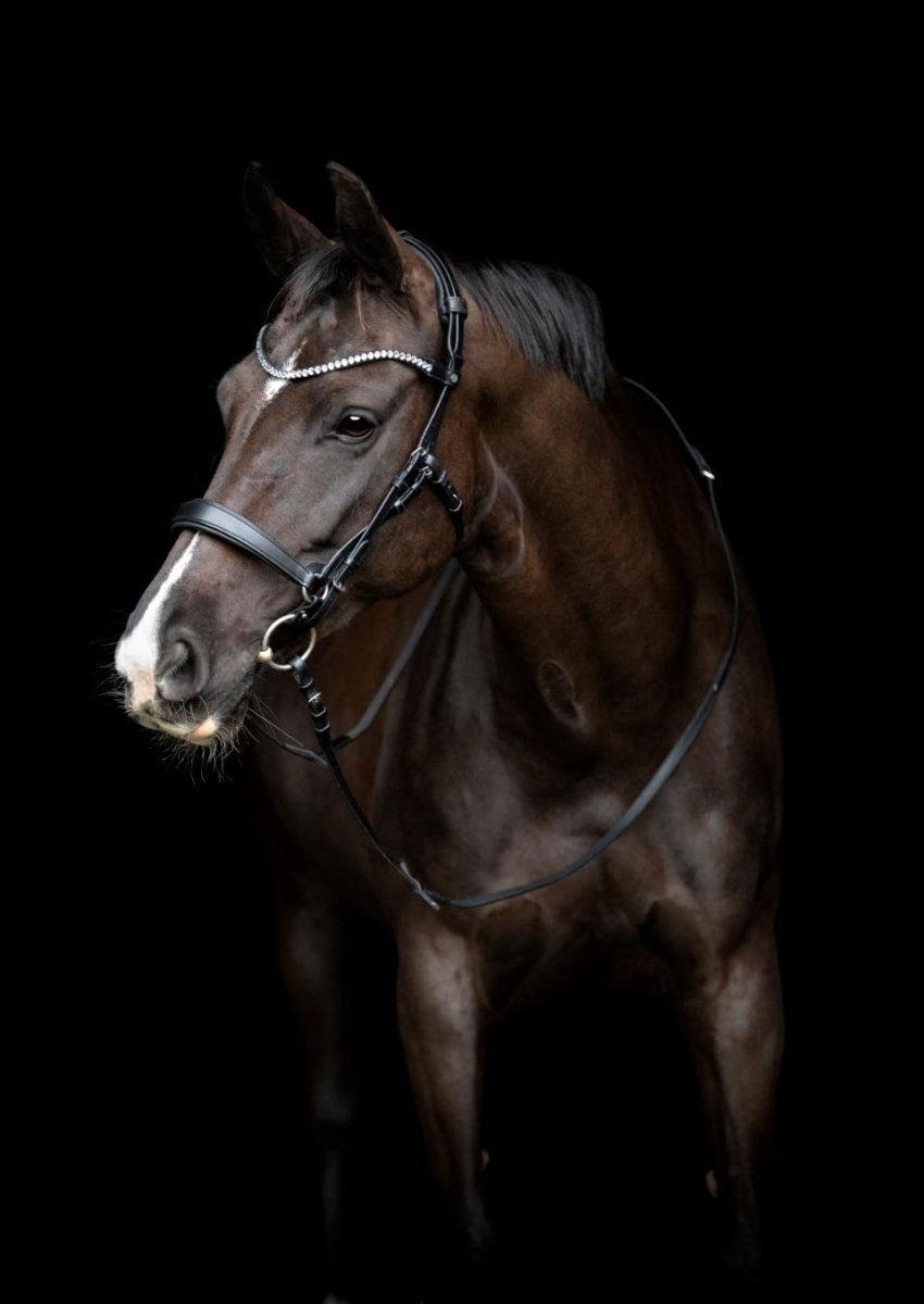 Gentle Bridle - Komplet Trense - Str. Pony - Sort - animondo.dk -