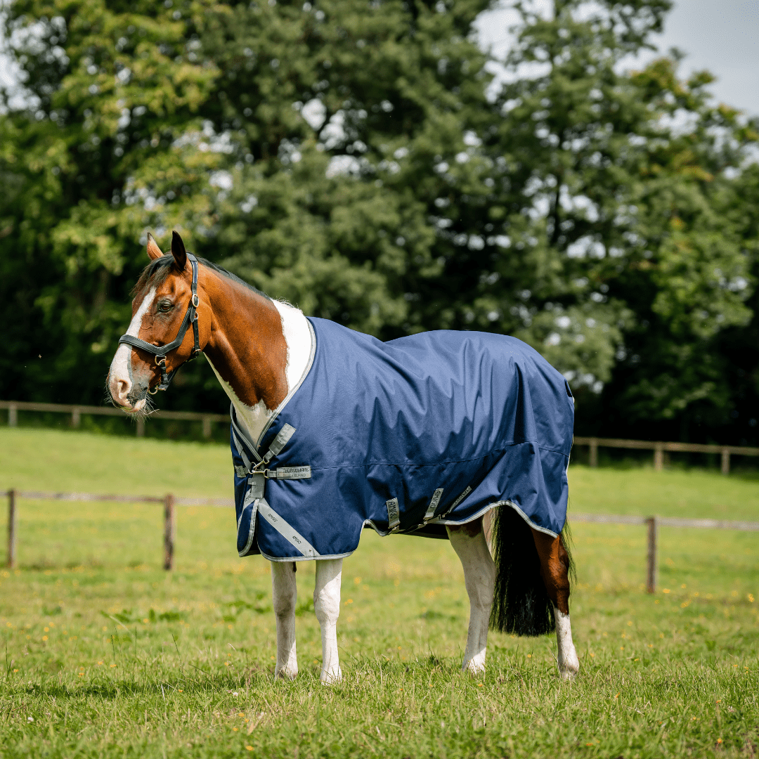 Horseware Amigo - 1200D Turnout Regndækken - 50 gram - Navy - animondo.dk - AAOAL1 - BJI0 - 66