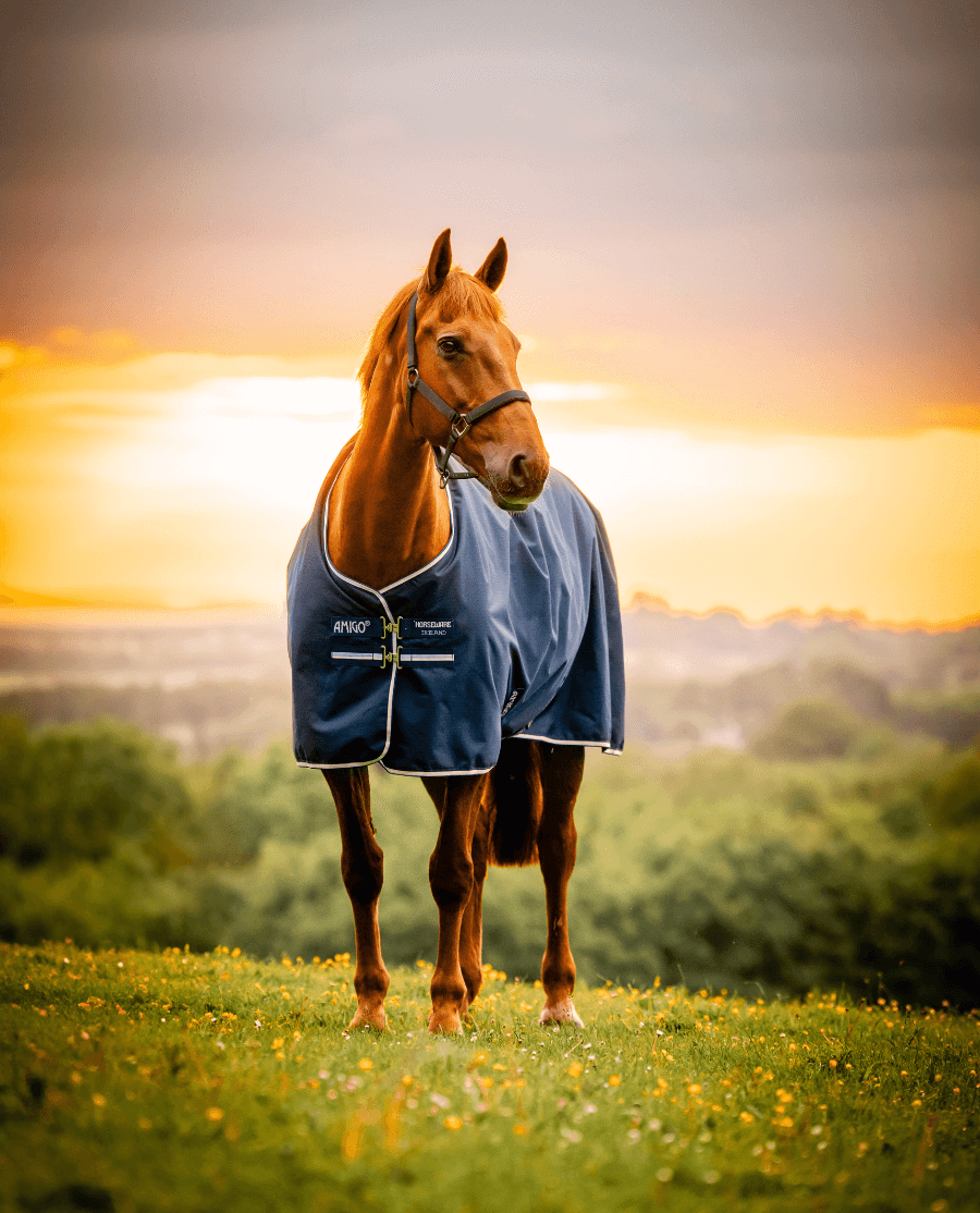 Horseware Amigo - Ripstop Regndækken 900D - 0 gram - Navy - animondo.dk - AARAG0 - BJJ0 - 69