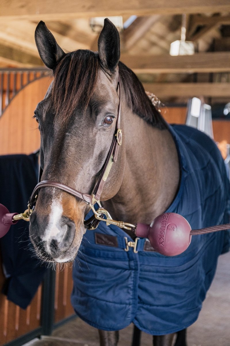 Kentucky Horsewear - Gummibold til opbindingskæder - Bordeaux - animondo.dk - 82154 - 17 - S