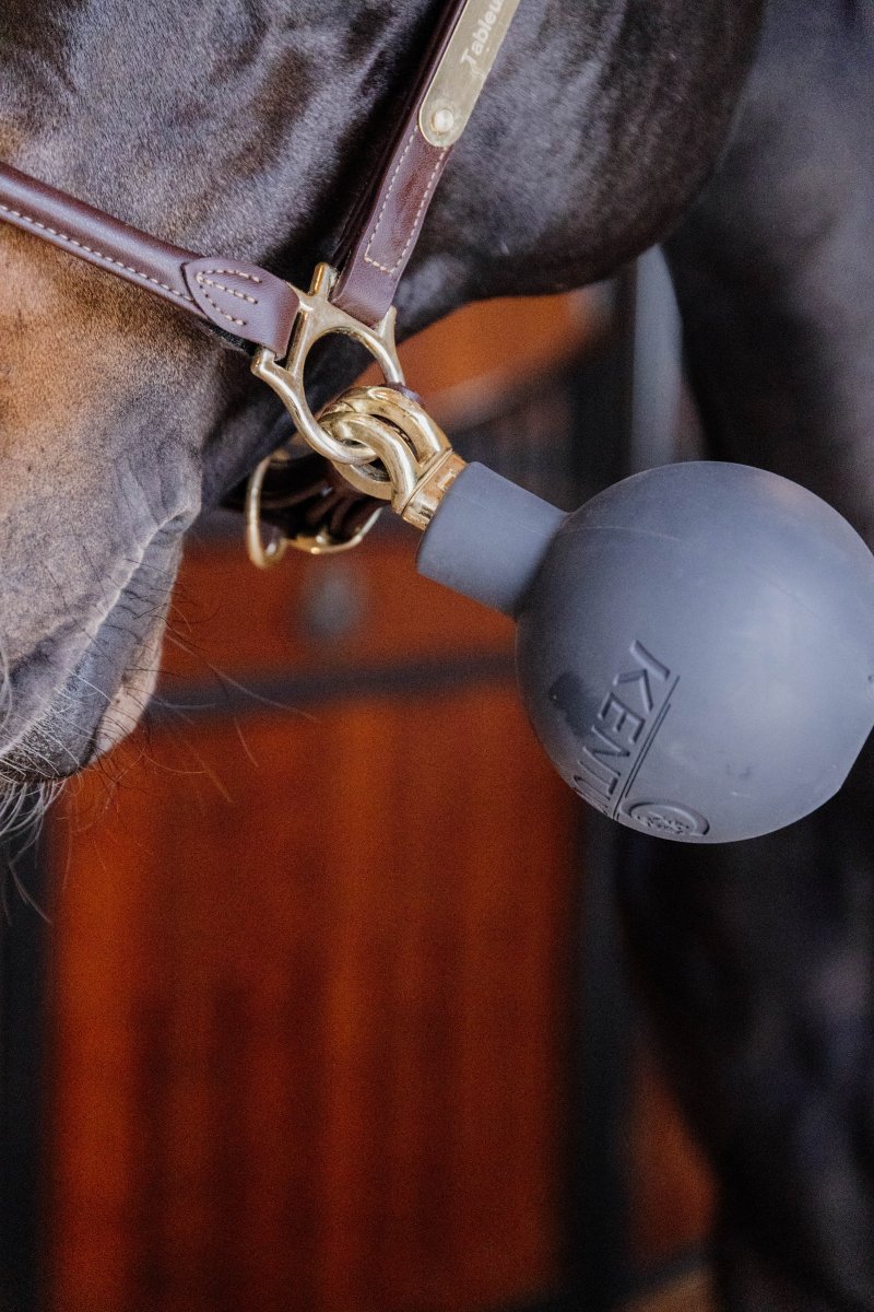 Kentucky Horsewear - Gummibold til opbindingskæder - Grå - animondo.dk - 82154 - 08 - S