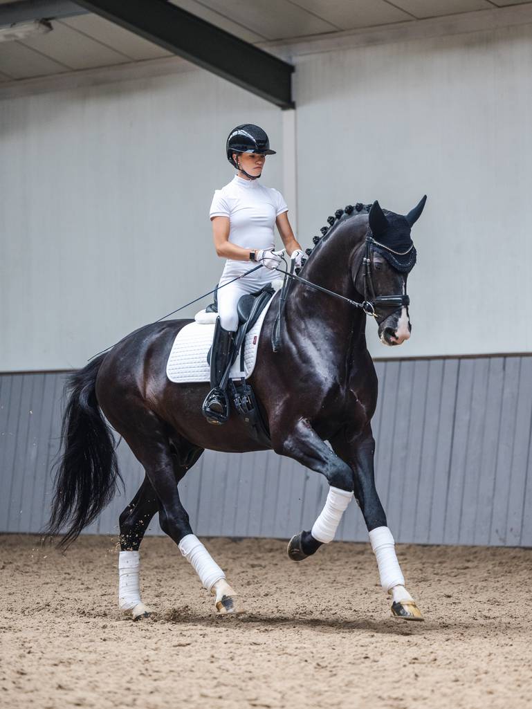 LeMieux - Plain Dressur Underlag - Hvid - animondo.dk - IT01357