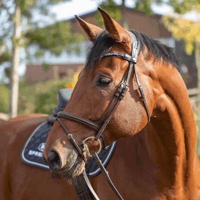 Sprenger - 2 - delt "Novocontact" Muffebid m. D - ring - 14 mm - animondo.dk - 40343 115 78