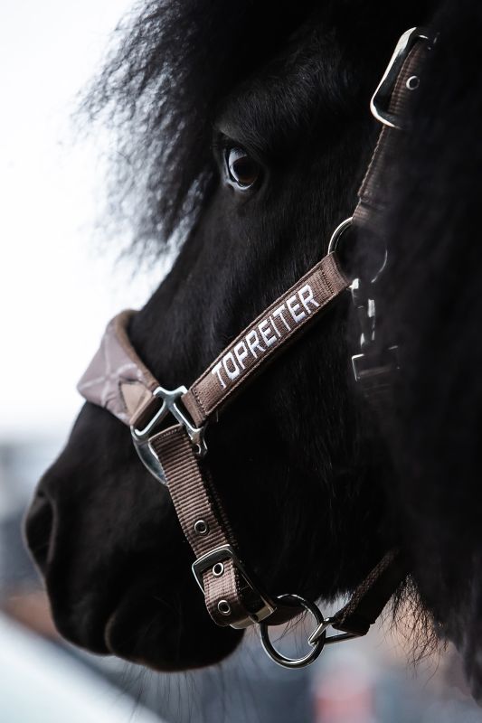 Top Reiter - "KLAKI" Grimesæt - Trøffelbrun - animondo.dk - HAL - STR - KLK - TBR