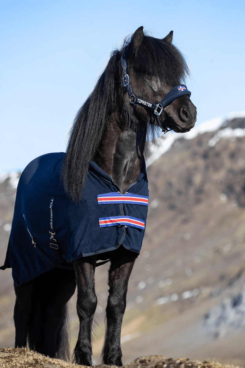 Top Reiter - Svedtransporterende fleece dækken "Klaki" Iceland - Navy - animondo.dk - DE - FLE - KLK - BU - ICE - 125