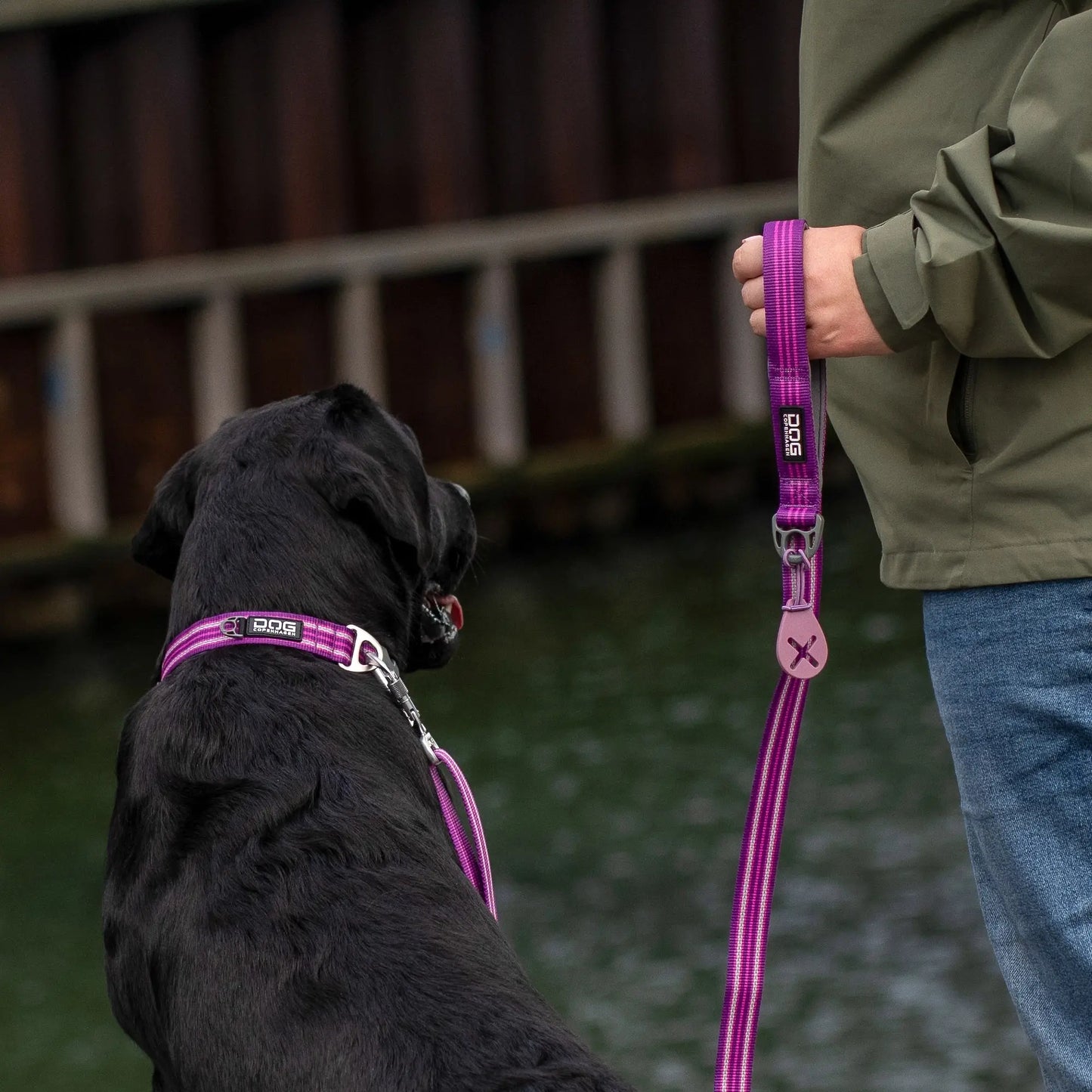 Dog Copenhagen - "Urban Freestyle" Line - Pink