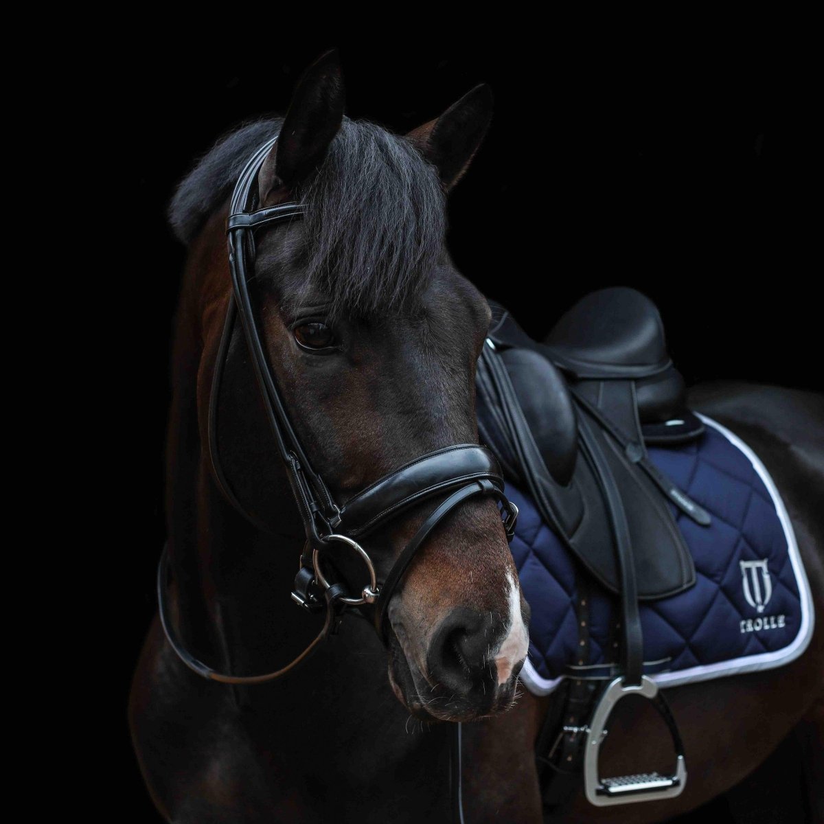 Acavallo Fornarina Rundsyet Trense - Sort - animondo.dk