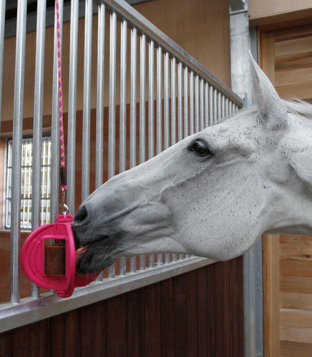 Bizzy Ball - Pink - animondo.dk - 1571031