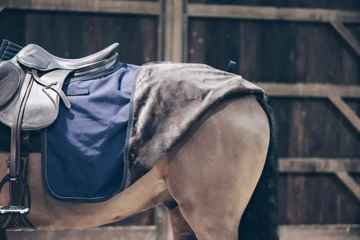 Kentucky Horsewear - Lændedækken - Navy - animondo.dk - 52118 - 03 - M