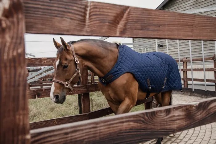 Kentucky Horsewear - Walker Rug 160 gram - Navy - animondo.dk - 52105 - 03 - 140