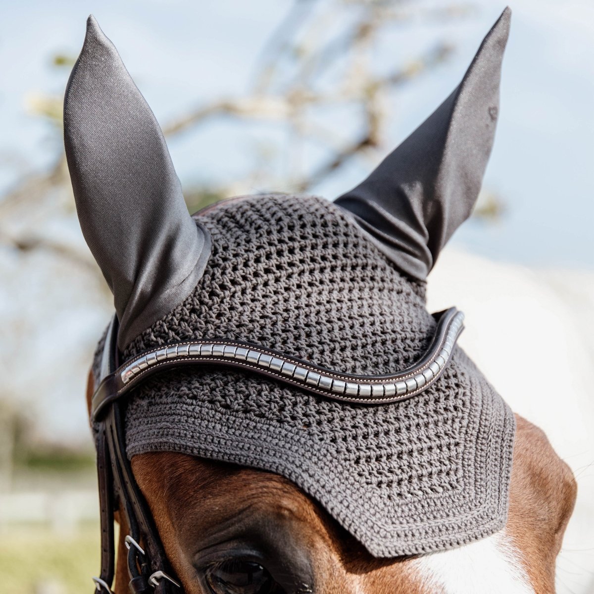 Kentucky Horsewear Wellington Hut - Grå - animondo.dk - 42608 - 08 - F