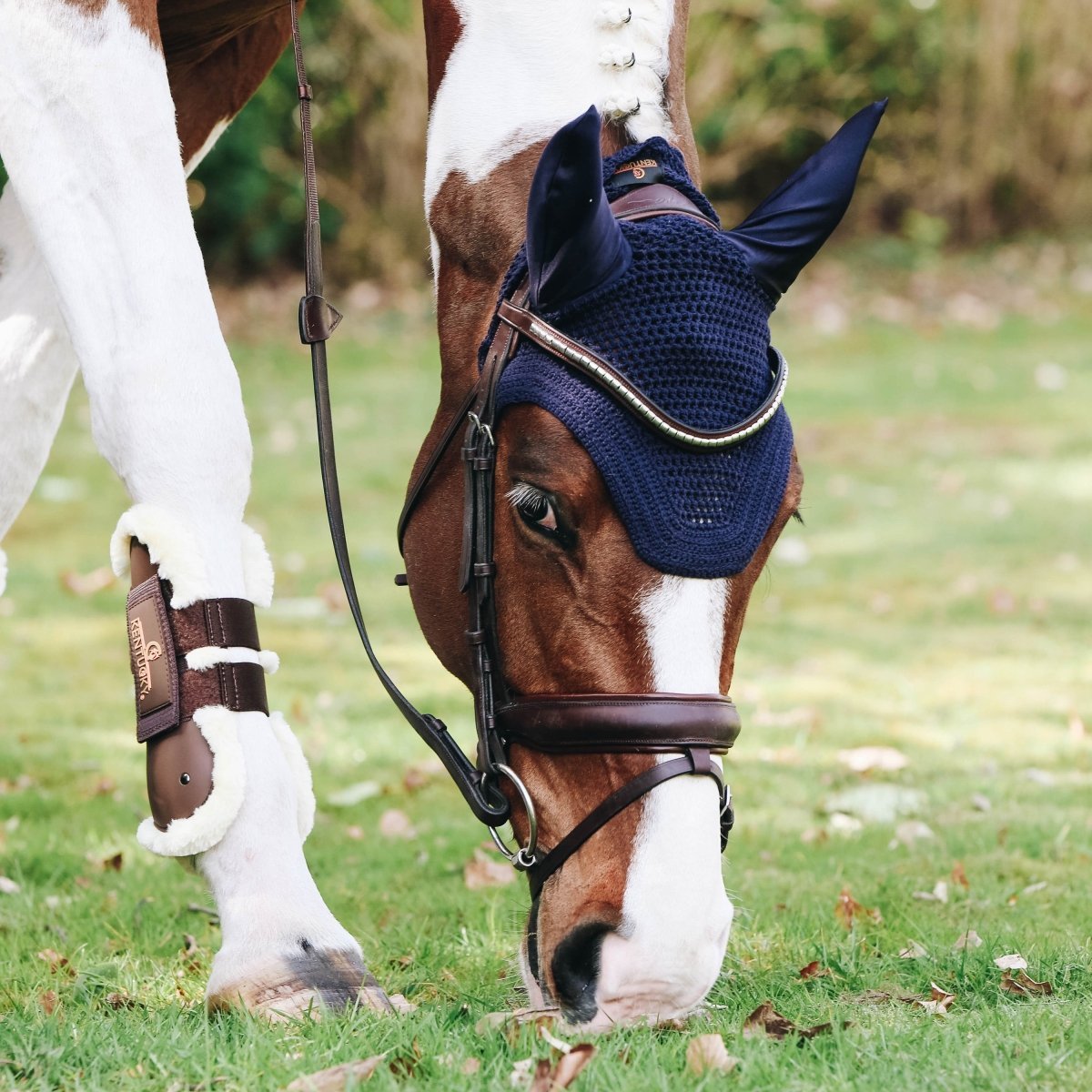 Kentucky Horsewear Wellington Hut - Navy - animondo.dk - 42608 - 33 - P