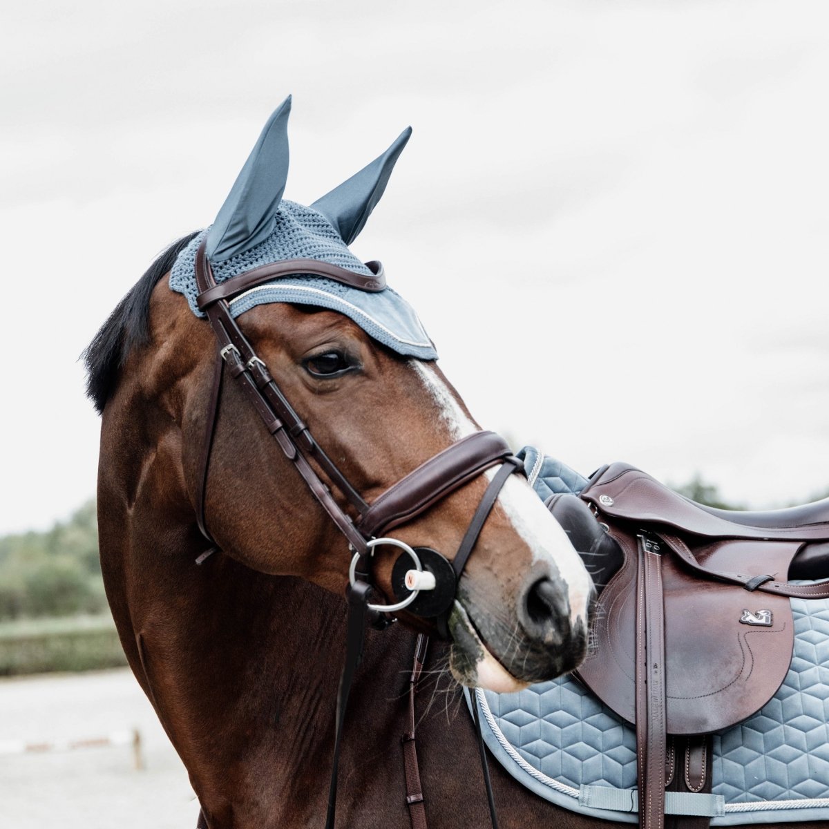 Kentucky Horsewear Wellington Velvet Hut - Lyseblå - animondo.dk - 42626 - 61 - P