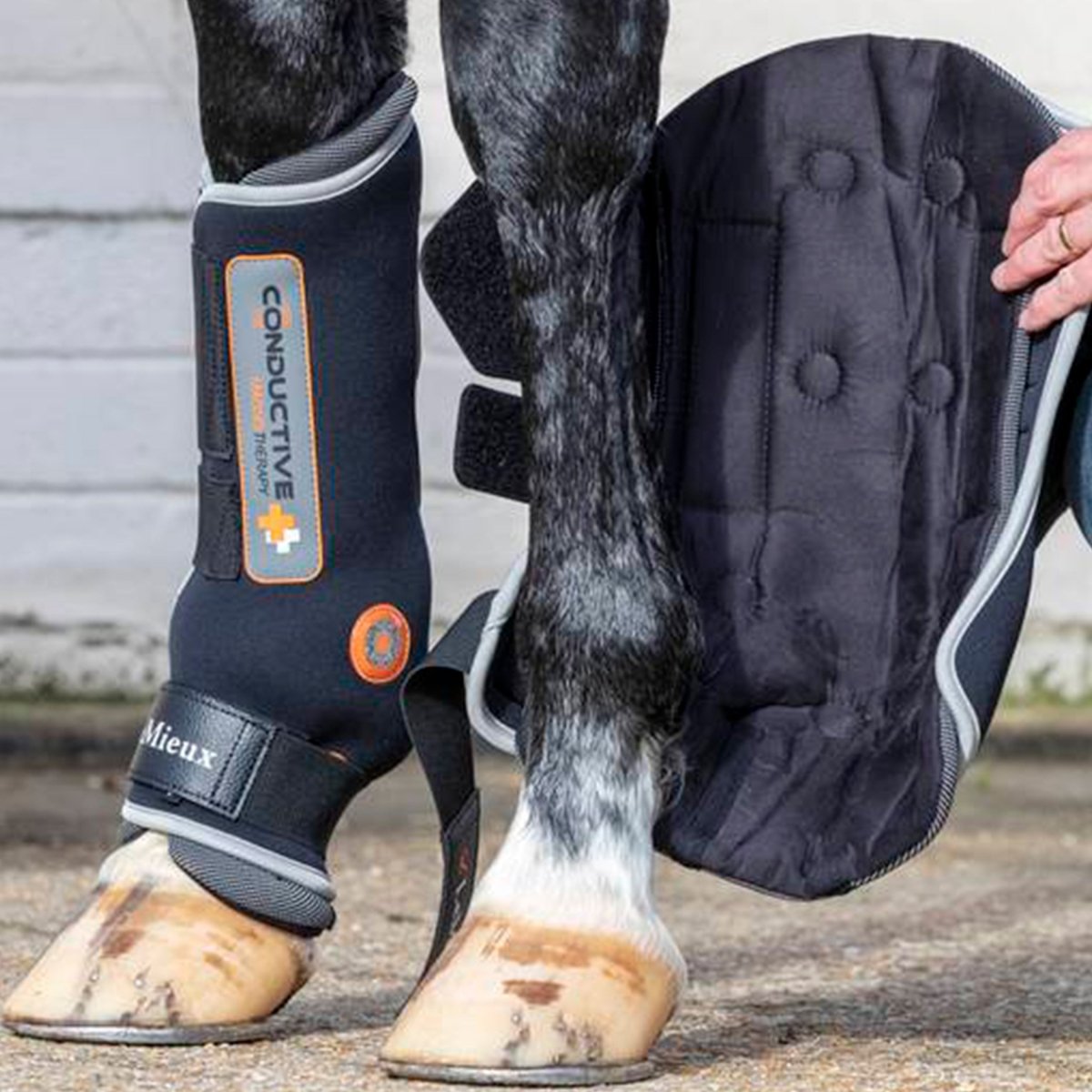 LeMieux Conductive Magno Boot Magnetgamacher - Sort - animondo.dk