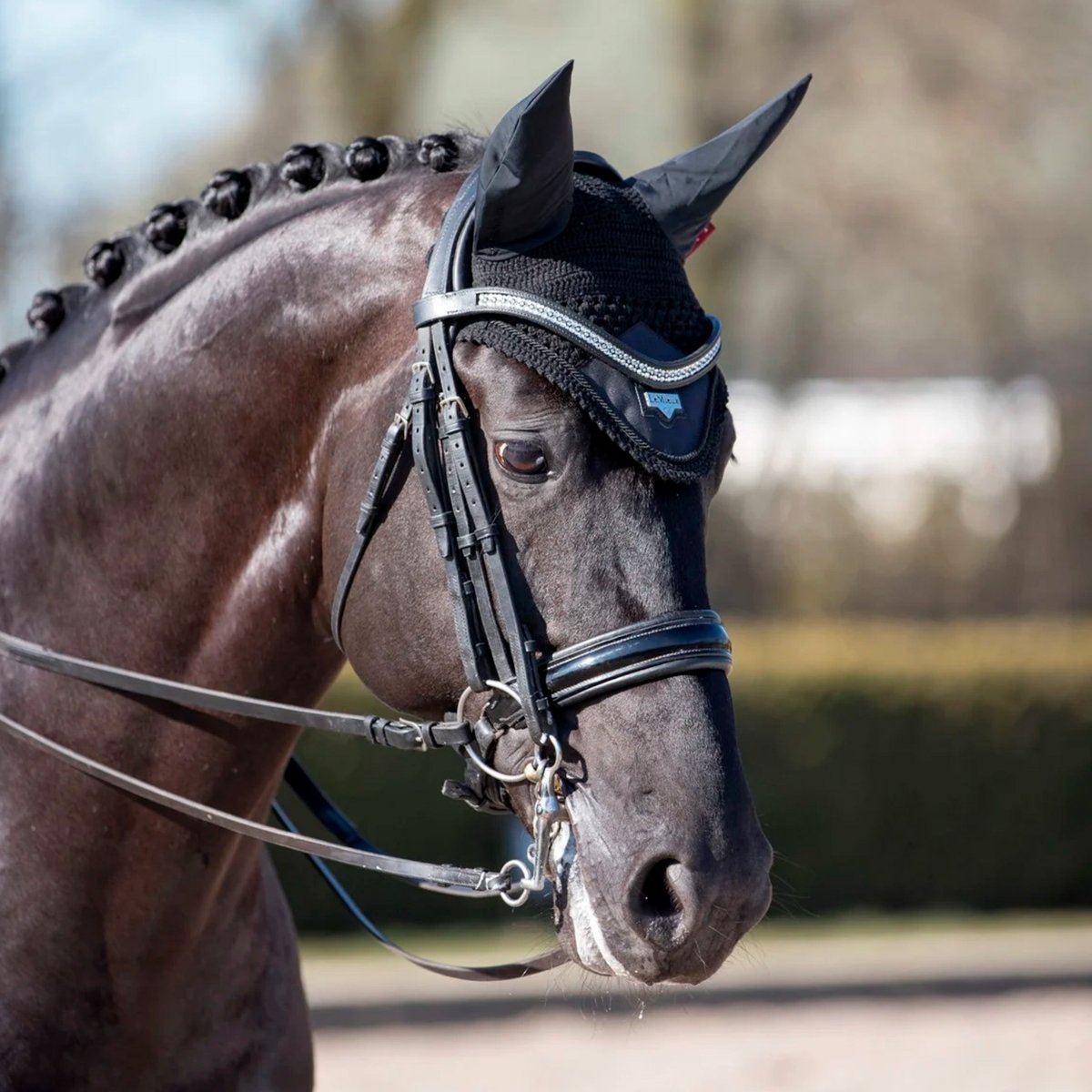 LeMieux Loire Hut - Sort - animondo.dk