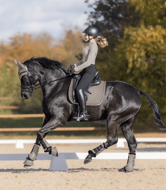 Saddle Pad Pegasus, beige, VSS (Kombineret) - animondo.dk