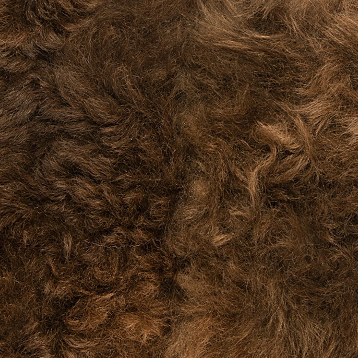 Scharf Freedom Lammepads til Dressurgjord - Brun - animondo.dk - UDGÅR - LP40BR