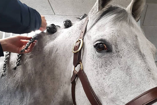 Sådan laver du flotte rosenknopper ✨🐴 - animondo.dk