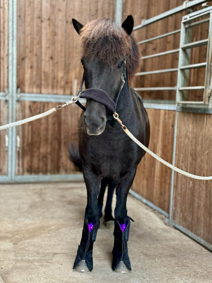 2. Sortering - Equine LTS 3.0 - Skønhedsfejl - animondo.dk - 2SOR - LTS3.0