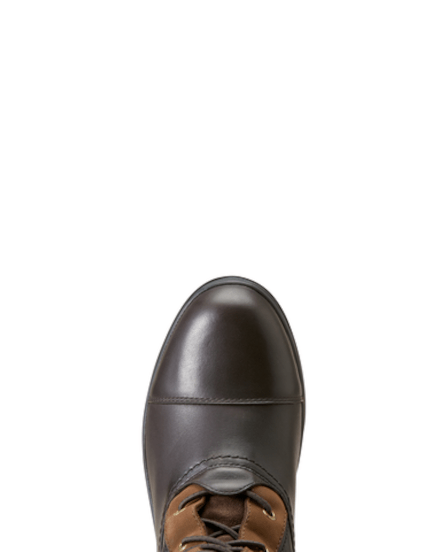 Ariat - Coniston Max H2O Insulated Boot - Brun - dame - animondo.dk - 10047005004