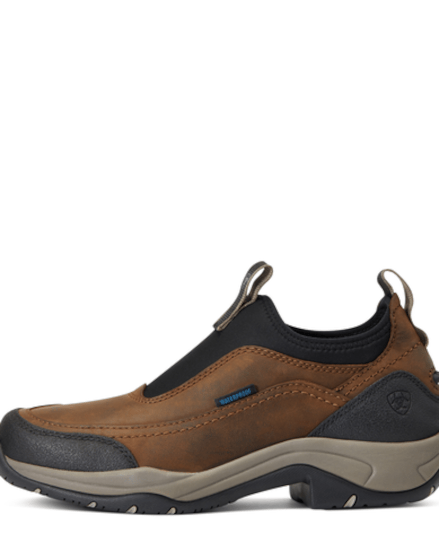 Ariat - Terrain Ease H2O - Brun - dame - animondo.dk - 10040234001