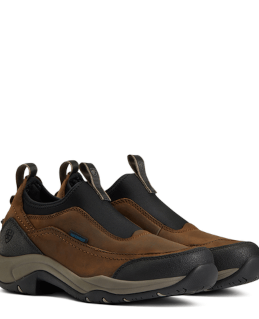 Ariat - Terrain Ease H2O - Brun - dame - animondo.dk - 10040234001
