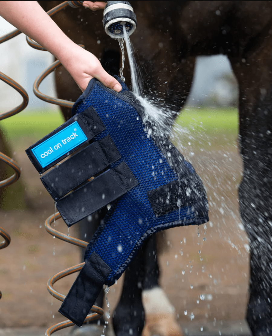 Back On Track - Cool on Track - Kølende Staldbandager - animondo.dk - 43260501
