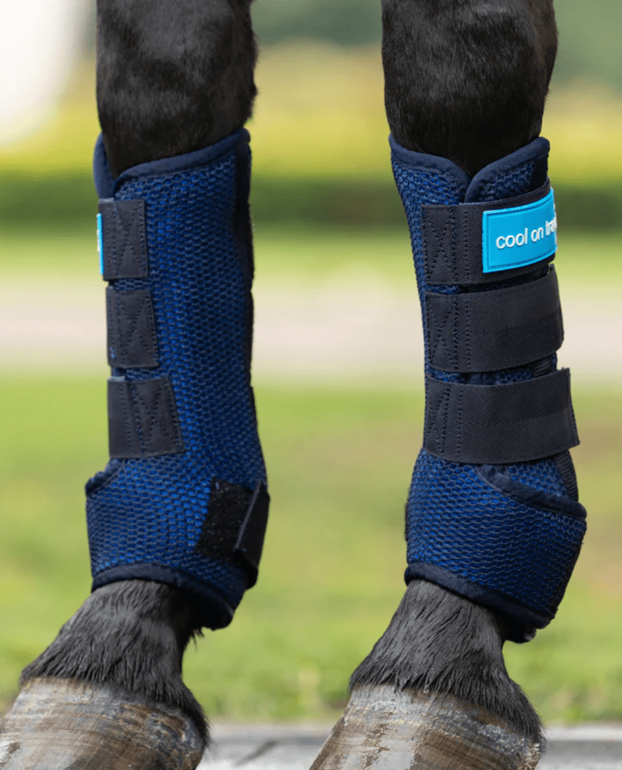 Back On Track - Cool on Track - Kølende Staldbandager - animondo.dk - 43260501