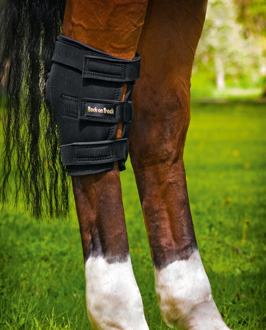 Back on Track - Hasebandage m. åbning - Venstre - animondo.dk - 20260001
