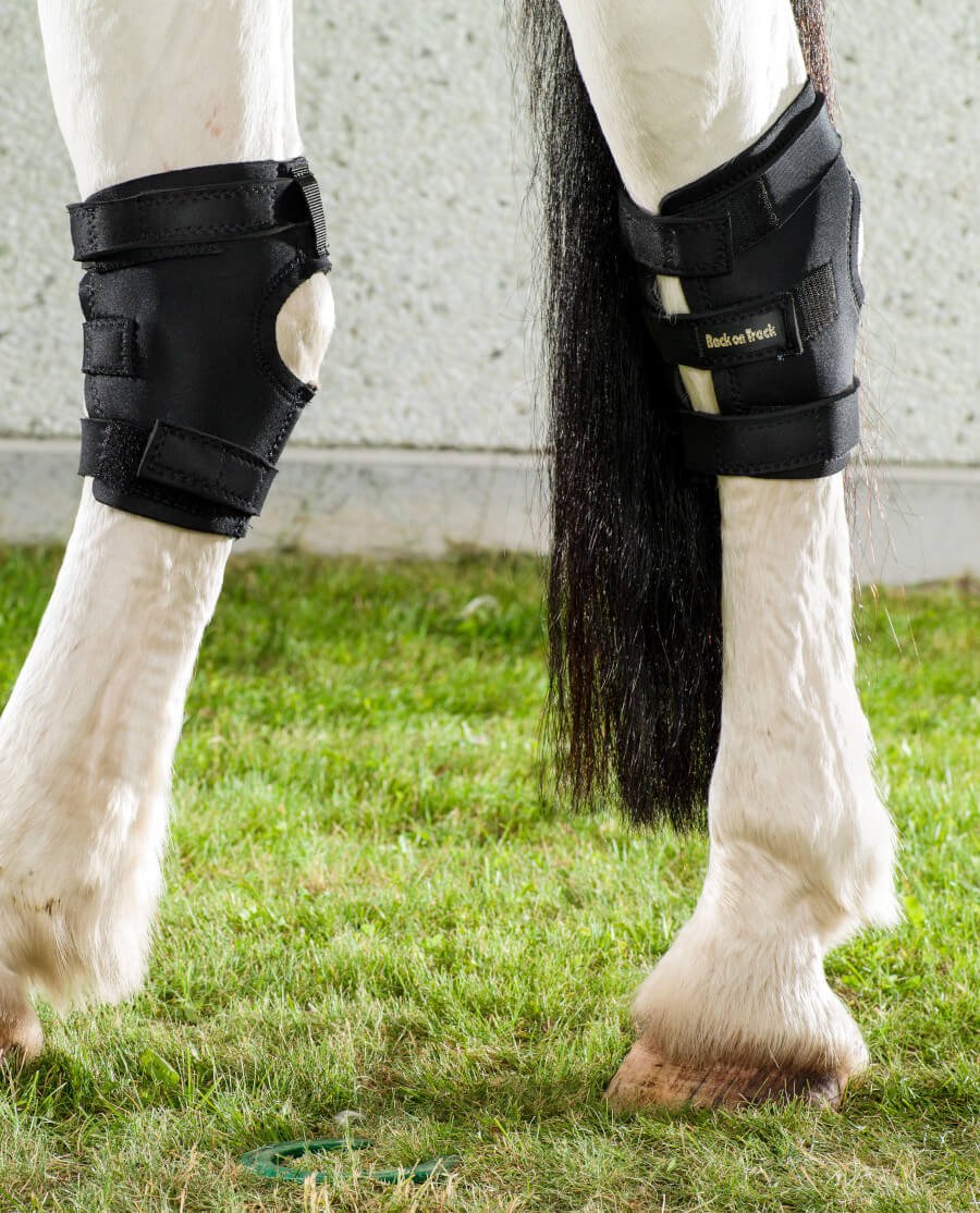 Back on Track - Hasebandage m. åbning - Venstre - animondo.dk - 20260001