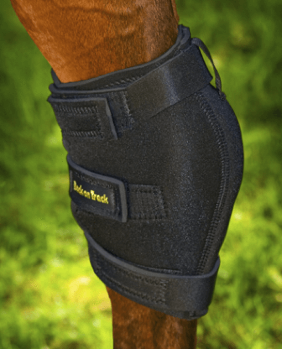 Back on Track - Hasebandage u. åbning - Højre - animondo.dk - 20150001