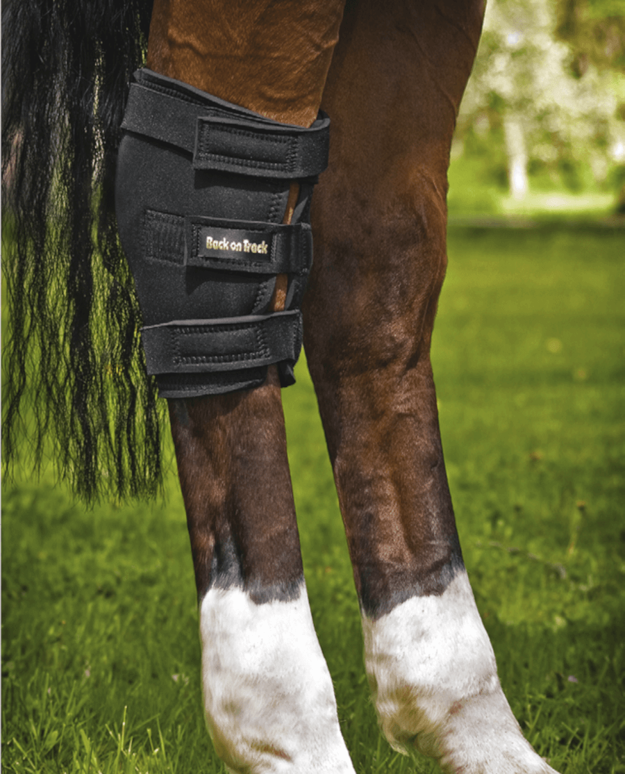 Back on Track - Hasebandage u. åbning - Højre - animondo.dk - 20150001