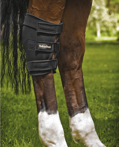 Back on Track - Hasebandage u. åbning - Højre - animondo.dk - 20150001