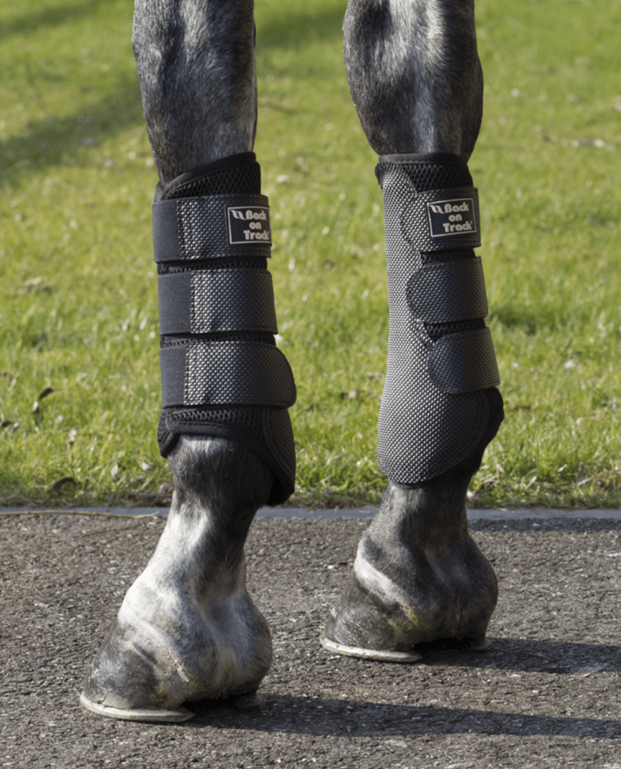 Back on Track - Ridegamacher m. net - Sort - animondo.dk - 20800001