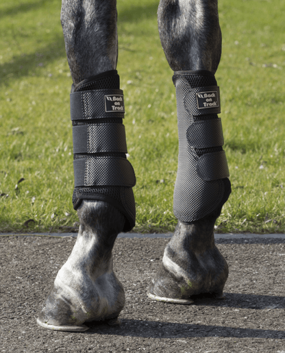 Back on Track - Ridegamacher m. net - Sort - animondo.dk - 20800001