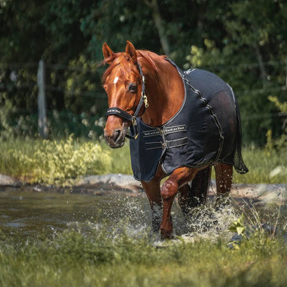 Back on Track - Sienna Sveddækken - Sort - animondo.dk - 21880025