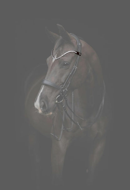 CATAGO - Gentle Bridle Pandebånd - Brun - animondo.dk - 800292002