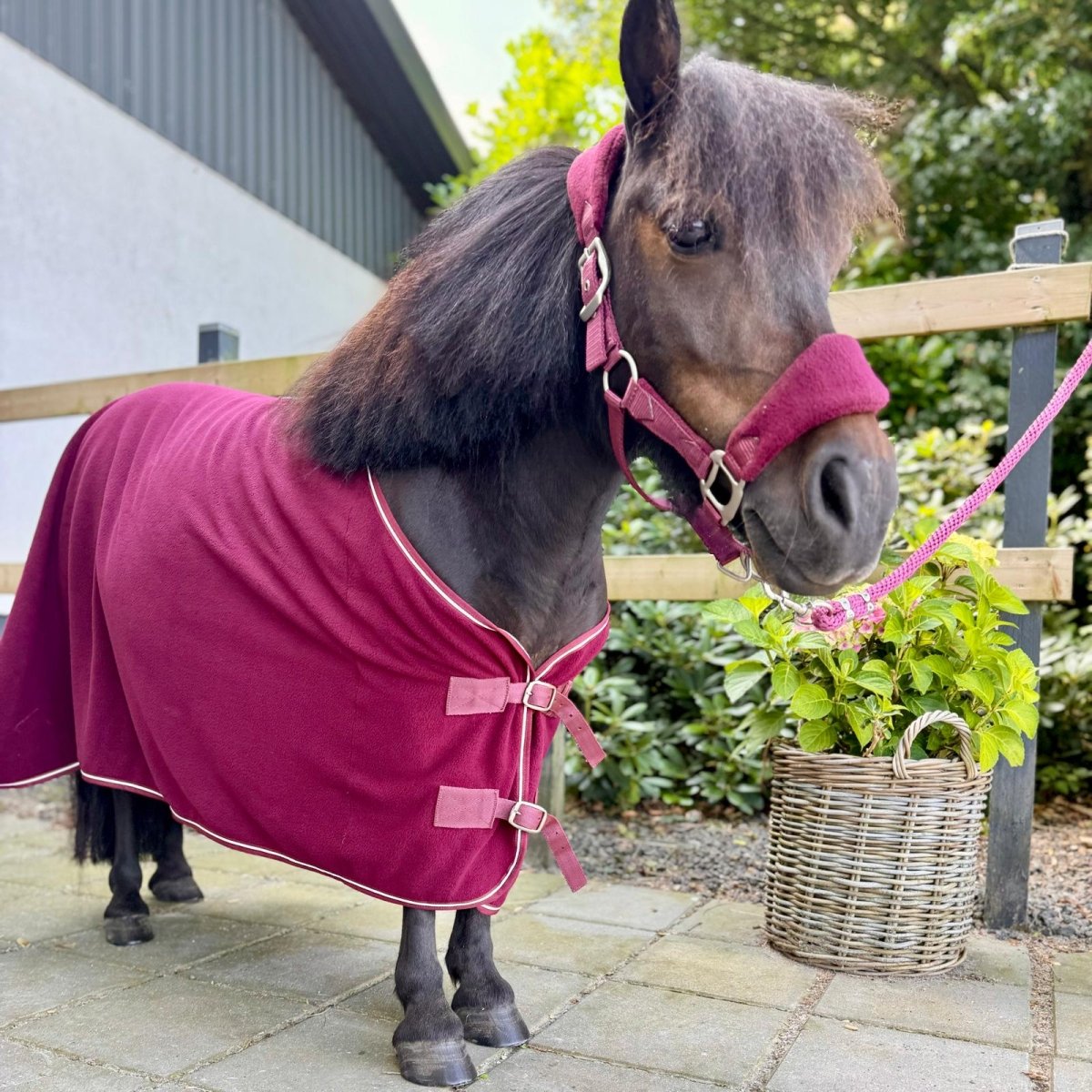 Cavalli Fleecedækken - Burgundy - animondo.dk - Cav0300