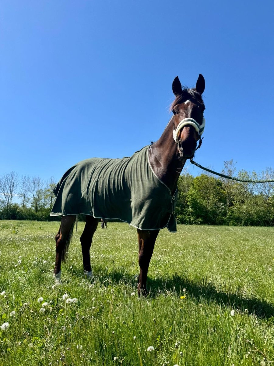Cavalli - Fleecedækken - Moss Green - animondo.dk - CAV4100