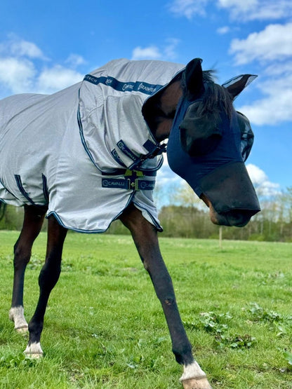 Cavalli Fluemaske m. ører & mulenet - animondo.dk - Cav2400